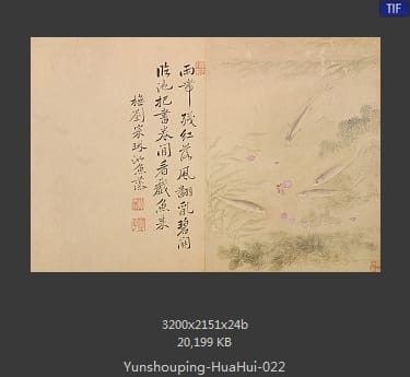 恽寿平-花卉