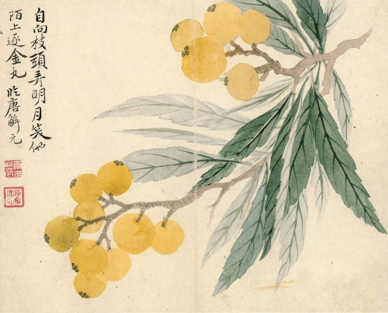 花卉