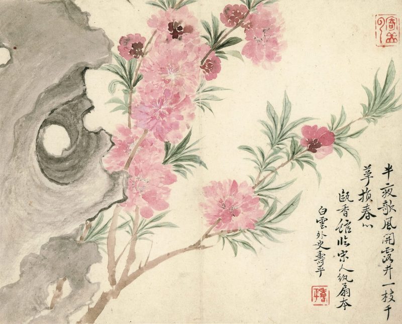 花卉