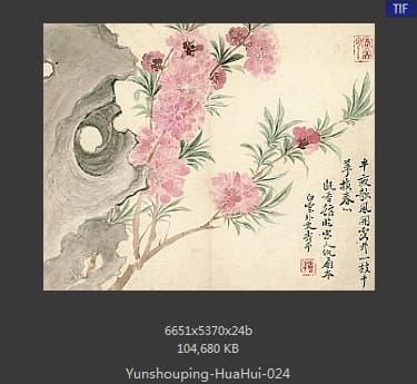 恽寿平-花卉