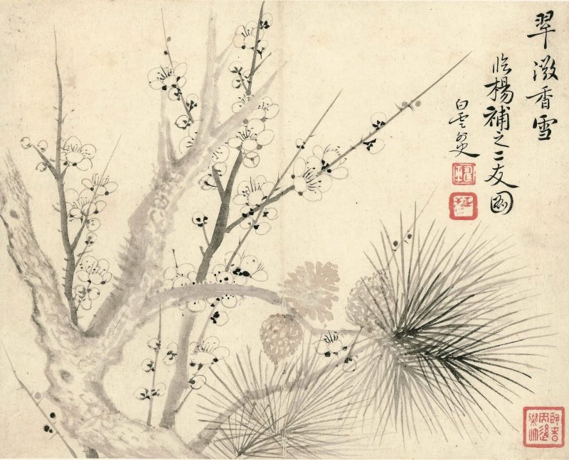 花卉