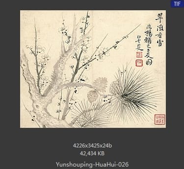 恽寿平-花卉