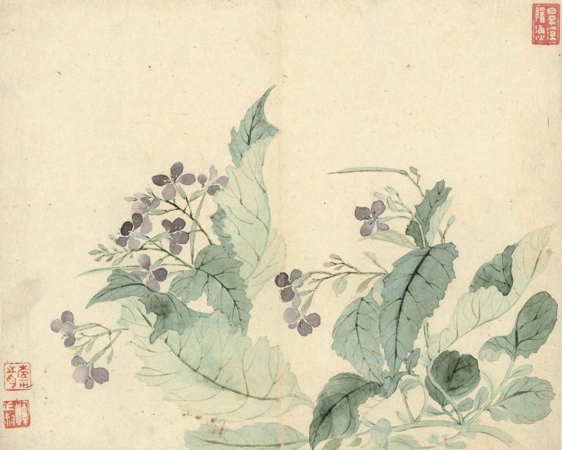 花卉