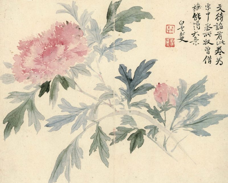 花卉