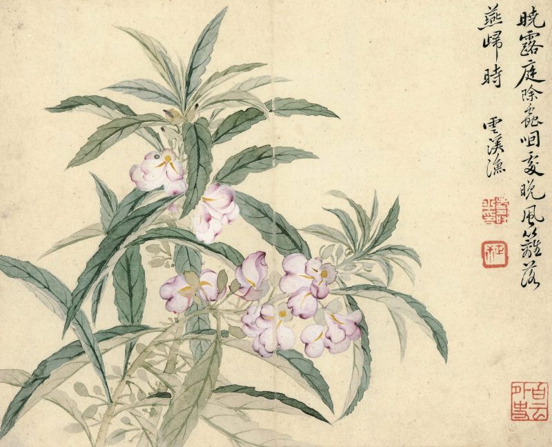 花卉