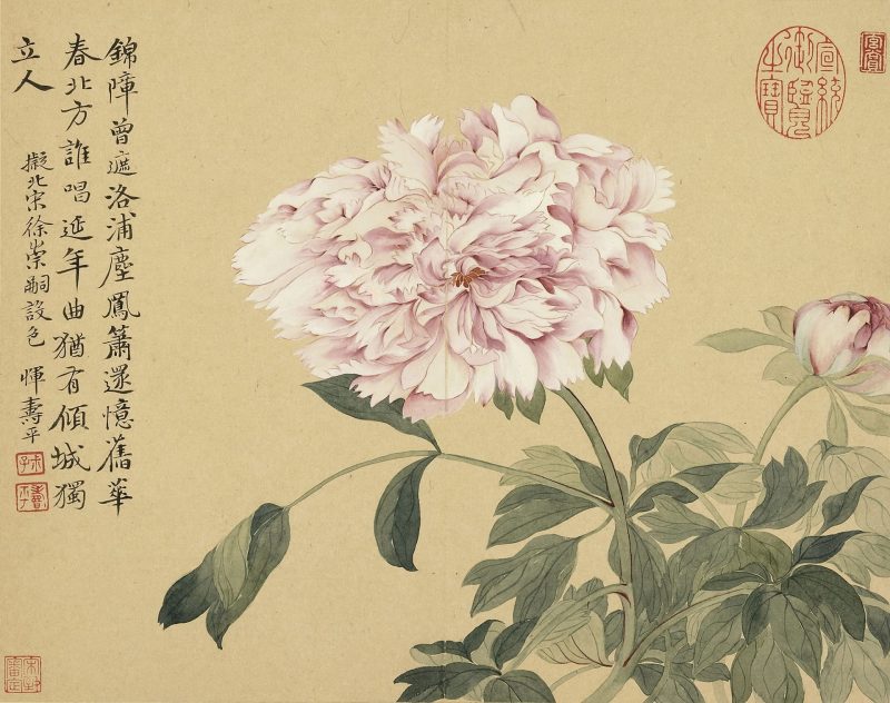 花卉