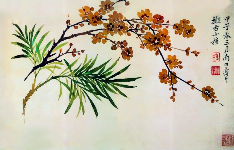 花卉