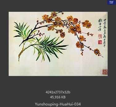 恽寿平-花卉