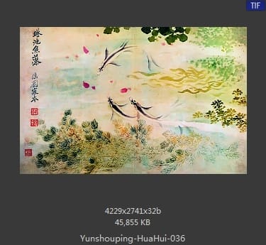 恽寿平-花卉
