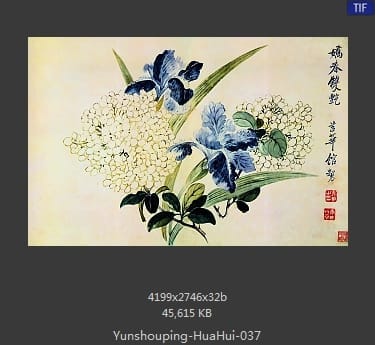 恽寿平-花卉