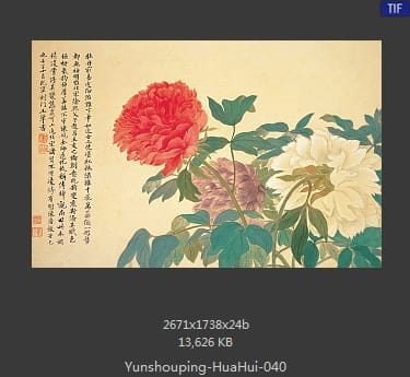 恽寿平-花卉