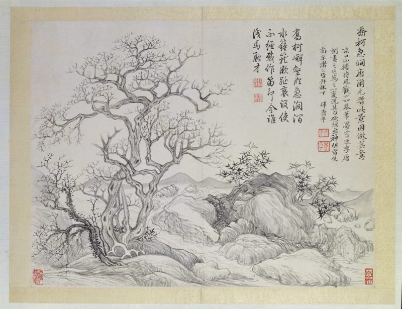 花卉