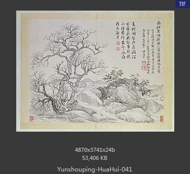 恽寿平-花卉