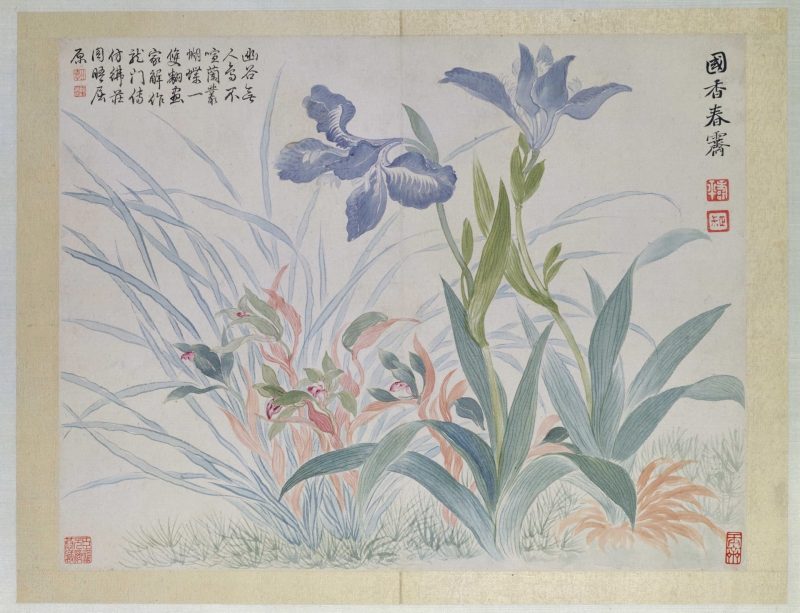 花卉