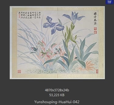 恽寿平-花卉