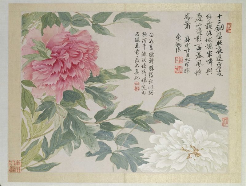 花卉