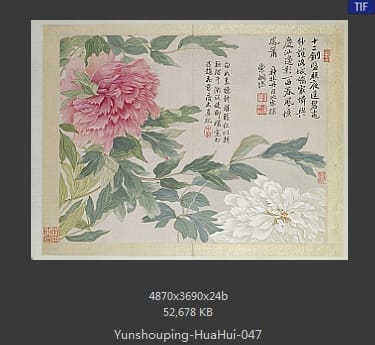 恽寿平-花卉