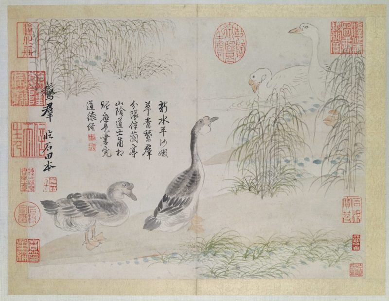 花卉