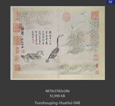恽寿平-花卉