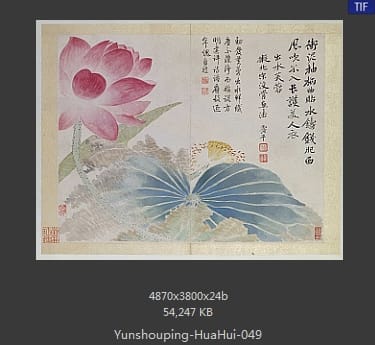 恽寿平-花卉