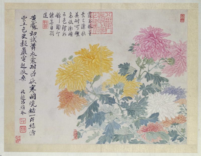 花卉