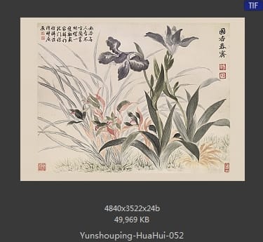 恽寿平-花卉