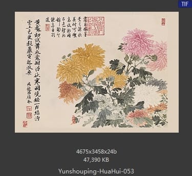 恽寿平-花卉
