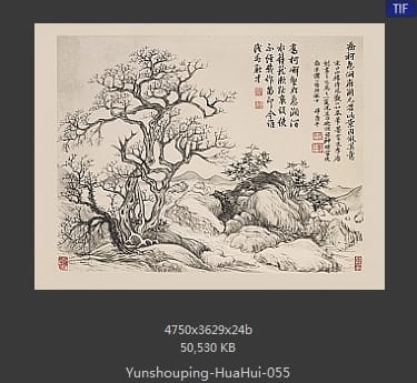 恽寿平-花卉