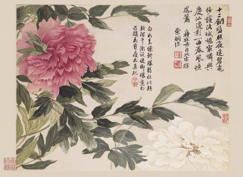 花卉