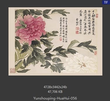 恽寿平-花卉