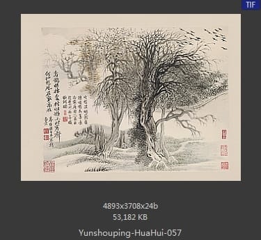恽寿平-花卉