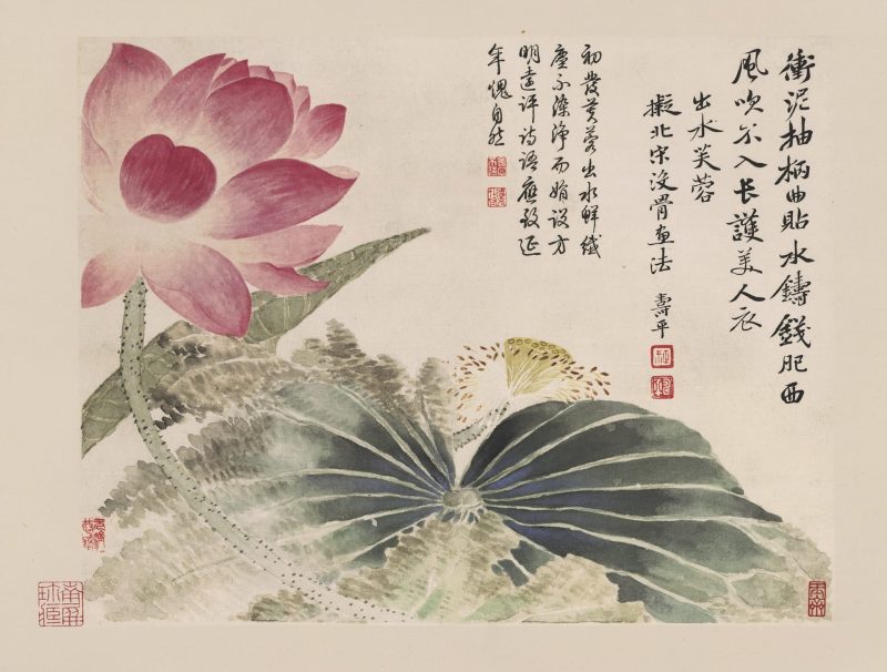 花卉