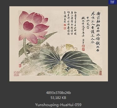 恽寿平-花卉