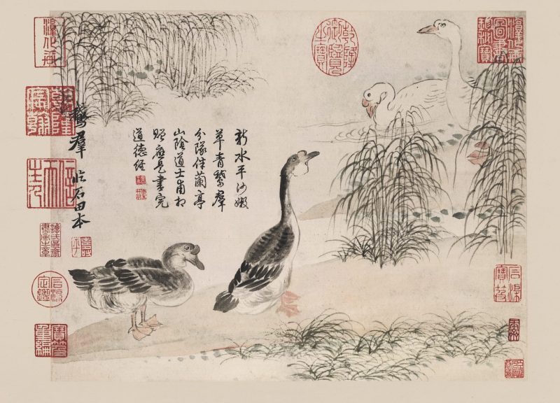 花卉