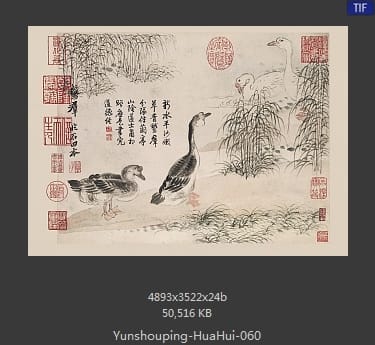 恽寿平-花卉