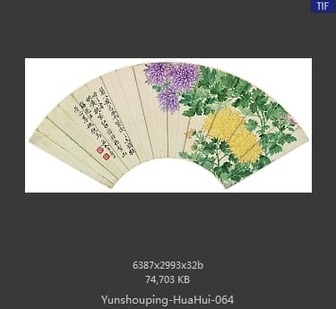 恽寿平-花卉
