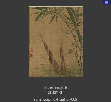 恽寿平-花卉