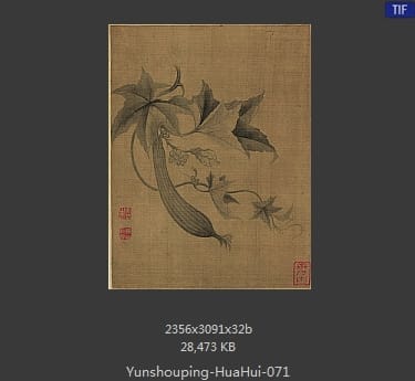 恽寿平-花卉