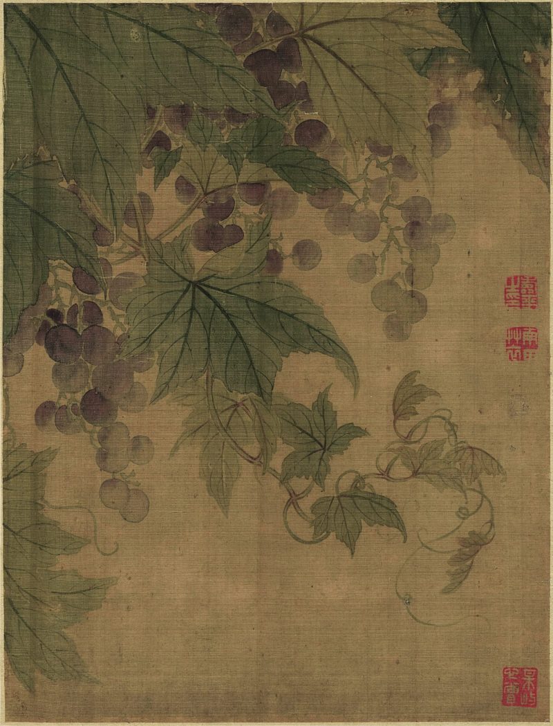 花卉