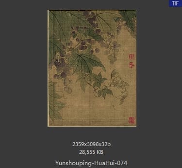 恽寿平-花卉