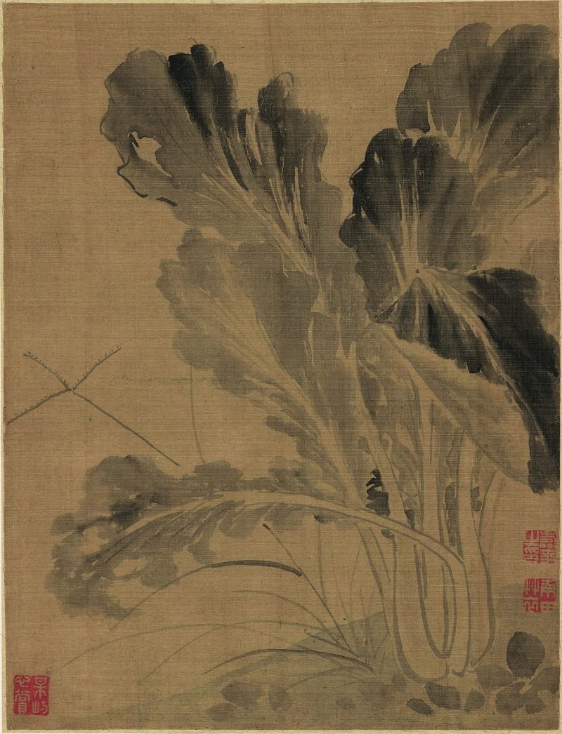 花卉