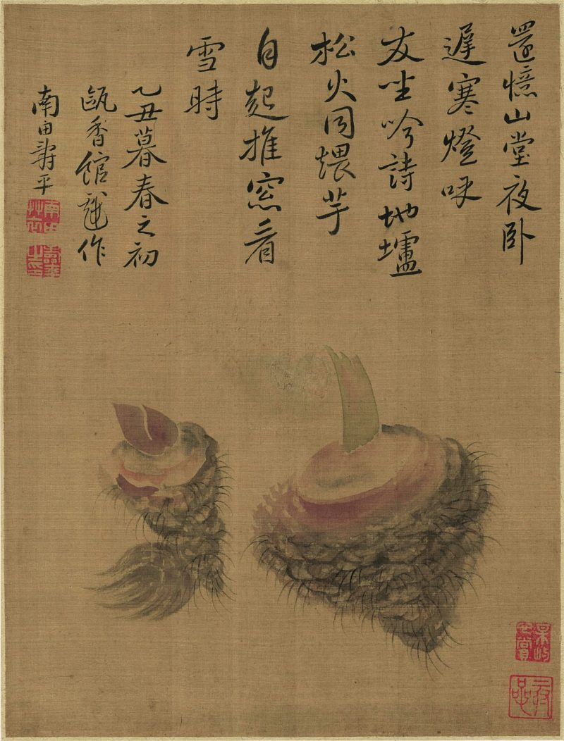 花卉
