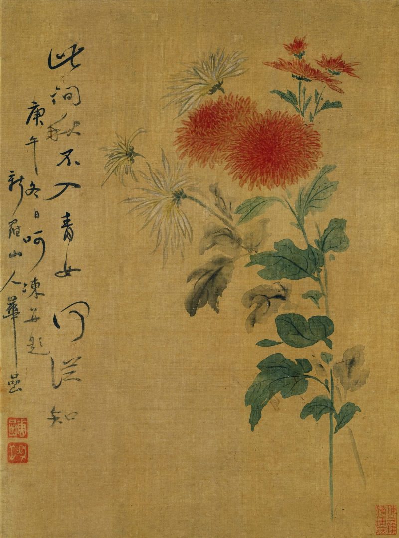 花卉