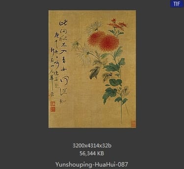 恽寿平-花卉