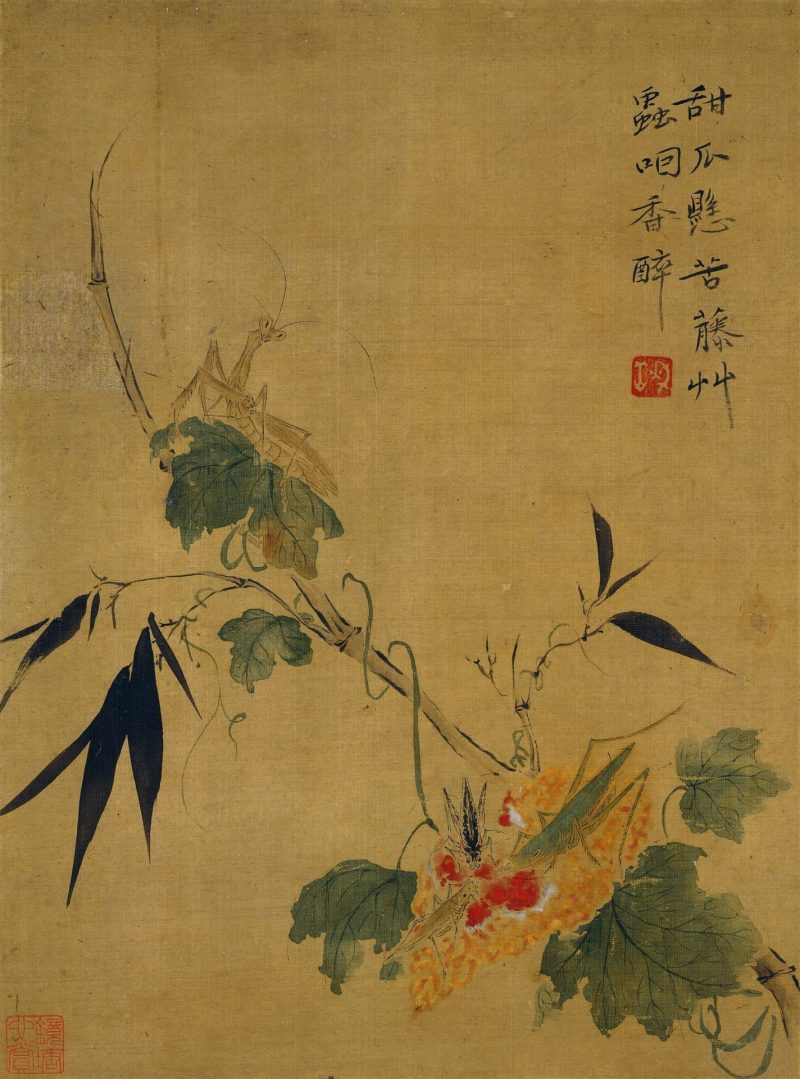 花卉