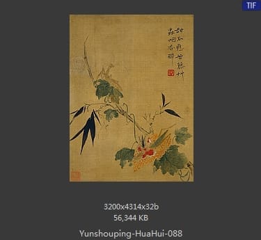 恽寿平-花卉