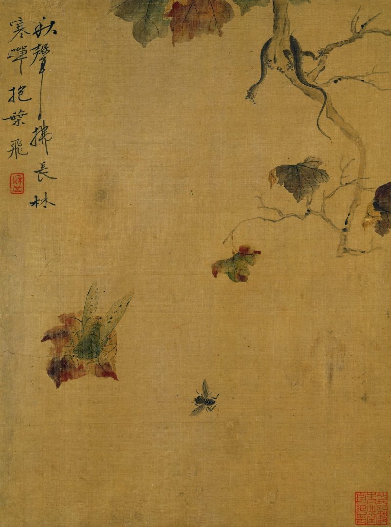 花卉