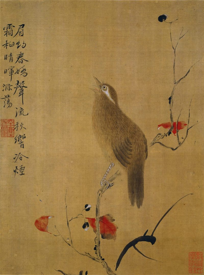 花卉