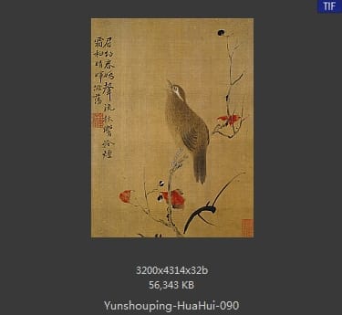 恽寿平-花卉