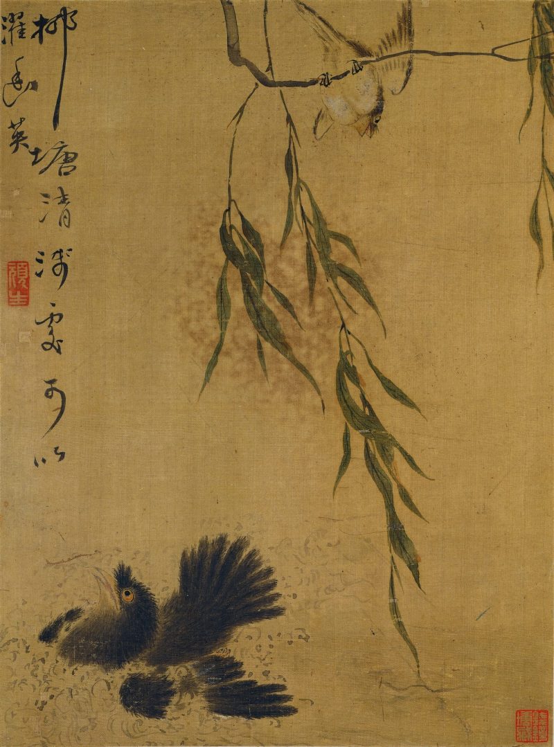 花卉